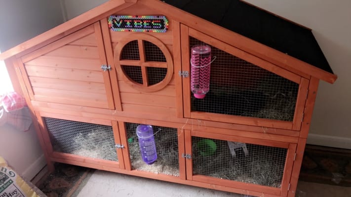 Foxglove rabbit hutch sale