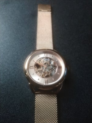 Tailor mechanical stainless deals steel watch