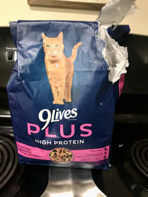 9Lives PLUS High Protein Dry Cat Food