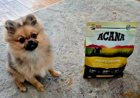 Acana dog food clearance pets at home