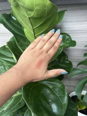 View Gallery Image #11