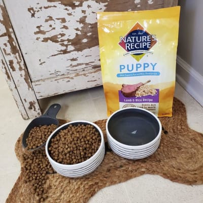 Nature s Recipe Puppy Lamb Rice Recipe Dry Dog Food