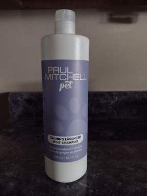 View Gallery Image #9