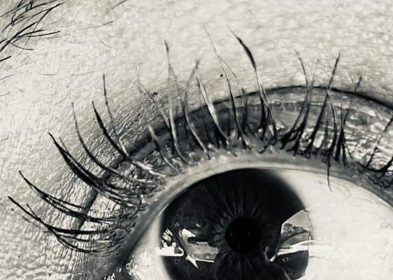 View Gallery Image #3