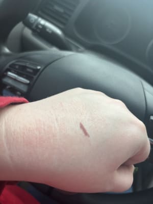 View Gallery Image #12