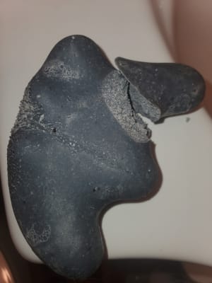 View Gallery Image #16