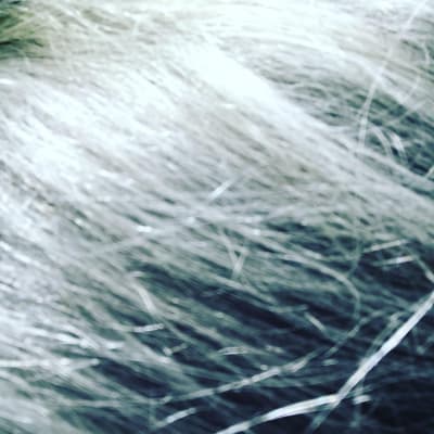 View Gallery Image #12