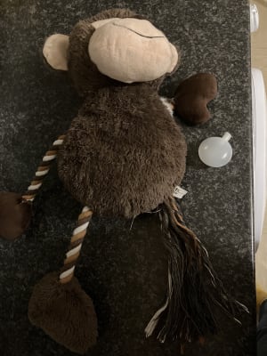 Pets at home monkey dog toy discount