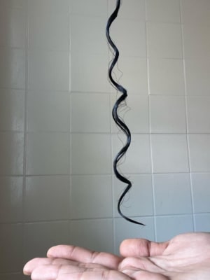 View Gallery Image #3