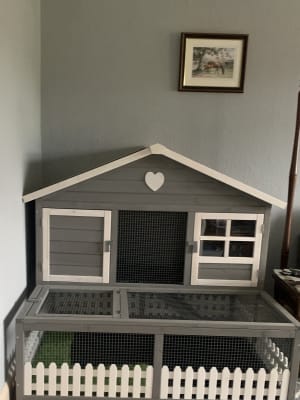 Blossom guinea hot sale pig hutch