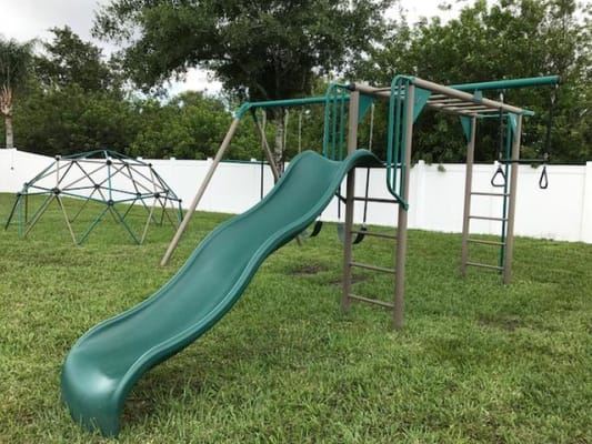 Lifetime monkey store bar swing set
