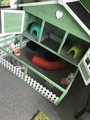 Blossom guinea top pig hutch