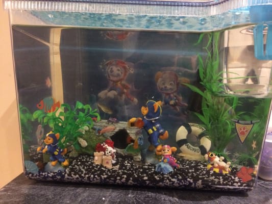 Paw Patrol Big Eye Plastic Aquarium Kit 15 Litre Pets At Home