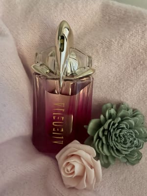 View Gallery Image #15