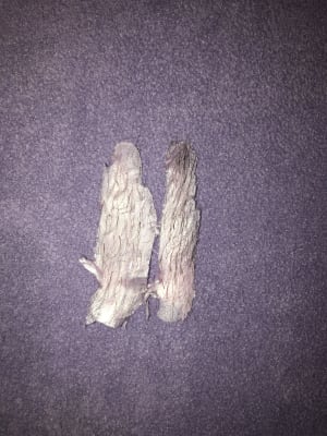View Gallery Image #2