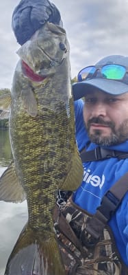 Giant rock bass off of a baby bull gill swimbait, 12in 1lb 9oz : r/Fishing