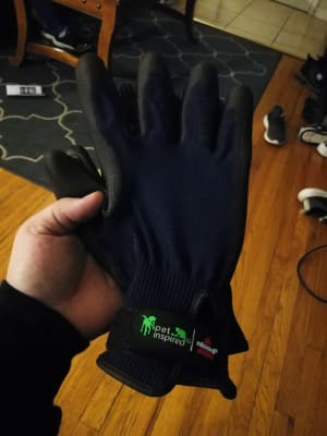 Med Grooming Gloves Dogs Cats BISSELL Pet Hair Eraser