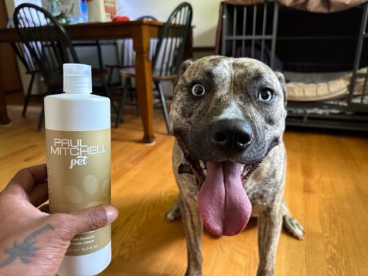 View Gallery Image #5