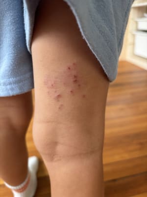 View Gallery Image #3