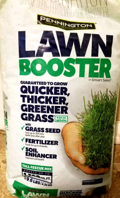 Pennington Lawn Booster Tall Fescue - Grass Seed | Pennington