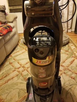 Pet Hair Eraser® Upright Vacuum | BISSELL®