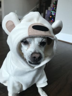 Microfleece Critter Hoodie for Pets Old Navy