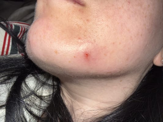 View Gallery Image #5