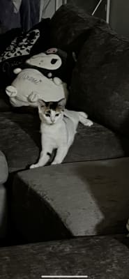 View Gallery Image #2