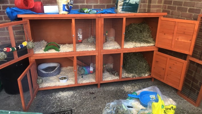 Maple manor sale hutch