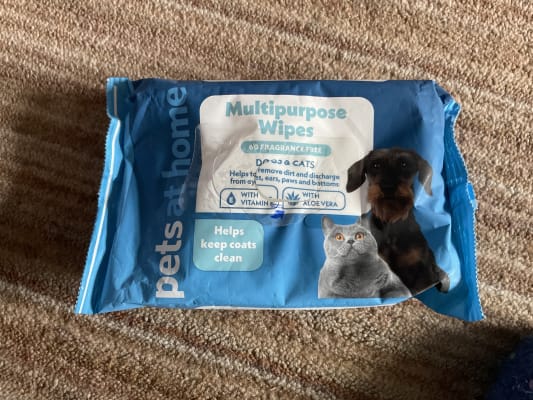 Pets at shop home cat wipes