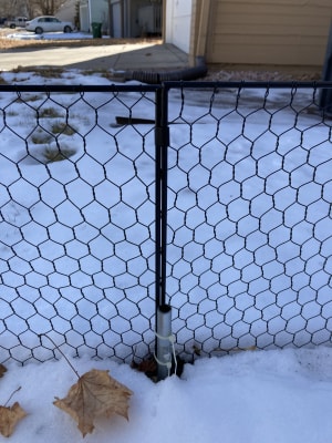 Chicken Wire Critter Fence, 16 High