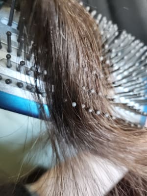 View Gallery Image #8