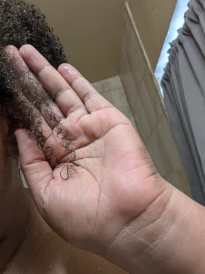 View Gallery Image #5