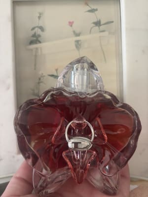 View Gallery Image #4