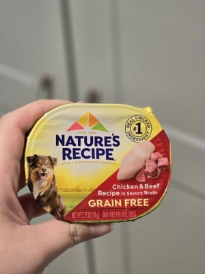 Nature's recipe grain free chicken recipe broth wet dog food cheap