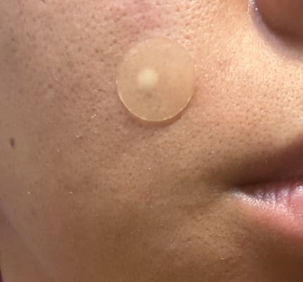 View Gallery Image #7