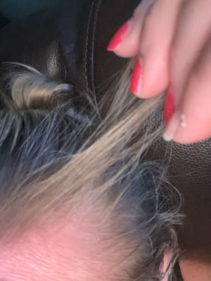 View Gallery Image #12