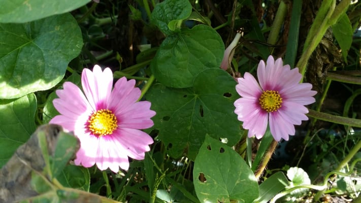 View Gallery Image #1