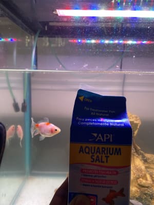 Api sale aquarium salt