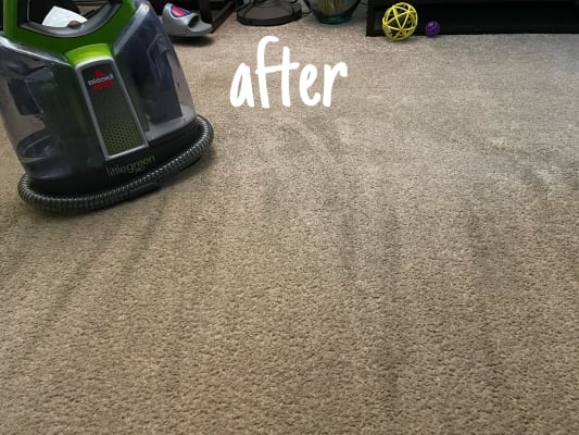 SpotClean ProHeat® Portable Carpet 