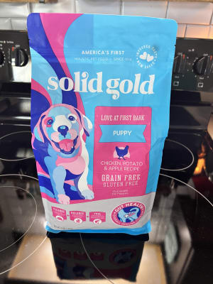 Solid gold love at first bark clearance