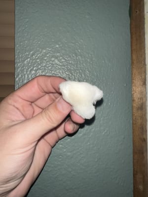 View Gallery Image #2