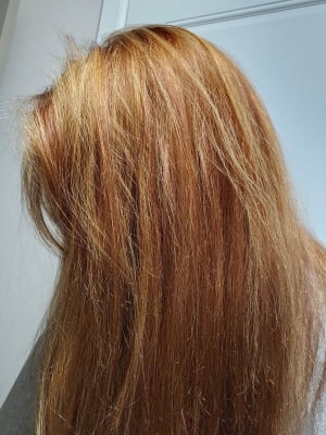 View Gallery Image #5