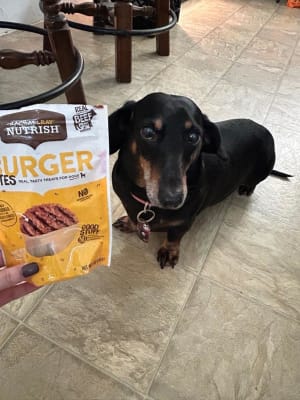 Nutrish burger bites outlet
