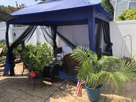 pop up gazebo big lots