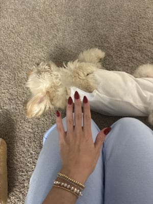 View Gallery Image #1