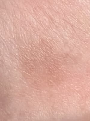 View Gallery Image #16