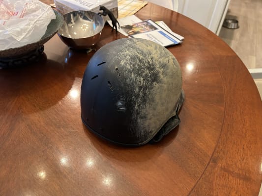 Trauma Void™ Lynx™ Helmet – Dover Saddlery