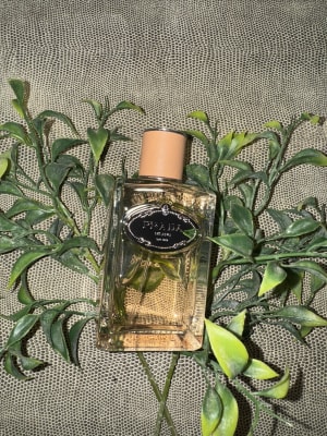 View Gallery Image #7