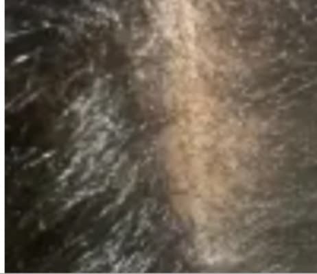 View Gallery Image #7